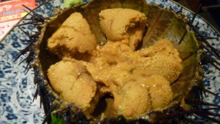 世界「食べると気分がハイに」ウニの美味さに驚きの声