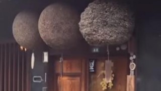 海外「おっきなボール!」杉玉が酒屋に吊るされている意味を知っていますか?