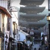 海外「自然の音が好き！」静かでとても居心地が良さそうな京都・八坂