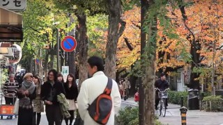 海外「映画のワンシーンみたい!」京都・木屋町の生活音を感じてみた