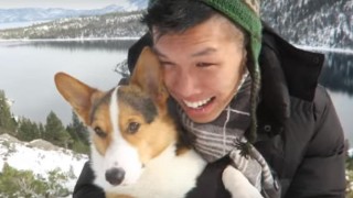 海外「犬が新雪に大はしゃぎ！」ぴょんぴょん跳ねる、雪の日のコーギーが可愛いすぎる！