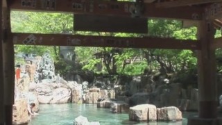 海外「雪の中の温泉が綺麗!」宝川温泉汪泉閣