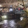 海外「綺麗すぎる！」京都の桜 着物美人と夜桜観光