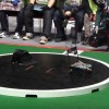 海外「日本の競技ロボットが凄い！」一瞬だから見逃すな！ロボット相撲とは？