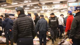 海外「マグロのせりを見せてくれて感謝!」築地市場の貴重な映像