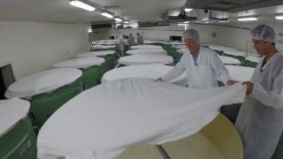 海外「清潔な酒蔵に感動!」日本酒蔵元・獺祭ツアーが熱い!