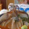 海外「日本人の変な食べ方！」イカ踊り食いが残酷と話題