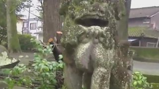 海外「口を開けるなんて興味深い!」新旧狛犬のすべて