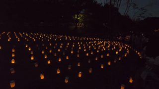 海外「神奈川 県立公園に灯る素敵な夜景」保土ヶ谷キャンドルナイトを散歩してみた