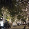 海外「シャンパンゴールドに輝く」丸の内イルミネーションと東京駅の景観