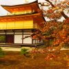 海外「秋の観光名所をめぐる旅」京都の紅葉の名所をめぐってみた