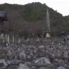 海外「惹きつけ心癒される場所」奥嵯峨 京都の寺院4カ所をめぐってみた