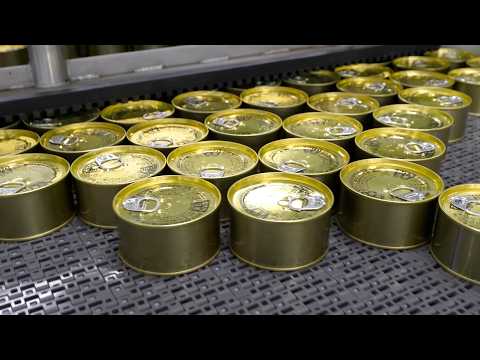 サバの缶詰を作る。日本の食卓を支える創業８０年の老舗サバ缶工場の製造プロセス。