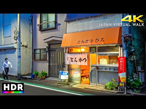Japan: Tokyo Back Alley Summer Evening Walk • 4K HDR
