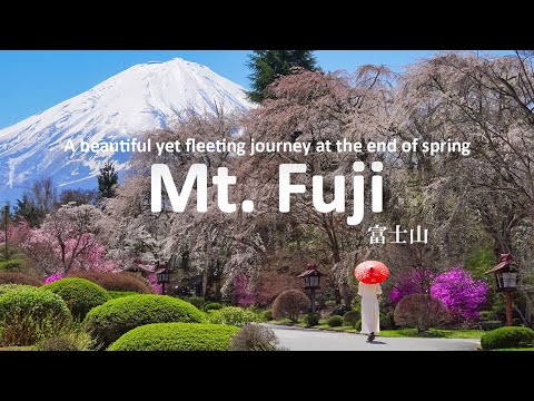 A Beautiful yet Fleeting Journey through the Mt. Fuji Area at the End of Spring | JAPAN TRAVEL VLOG