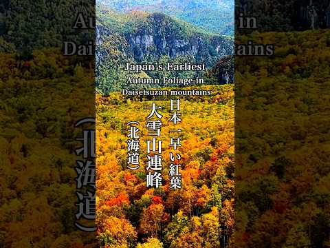 日本一早い大雪山紅葉 Japan’s Earliest Autumn Foliage Daisetsuza 北海道観光 旭岳 紅葉の名所 Hokkaido＃大雪山の紅葉＃紅葉の名所＃秋の北海道