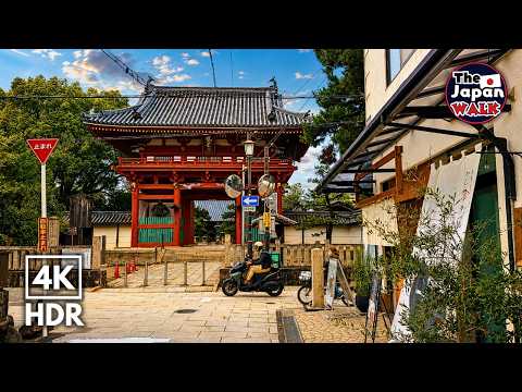 Japan Walk – Relaxing Afternoon in Suburban Osaka | Fujiidera | 4K HDR